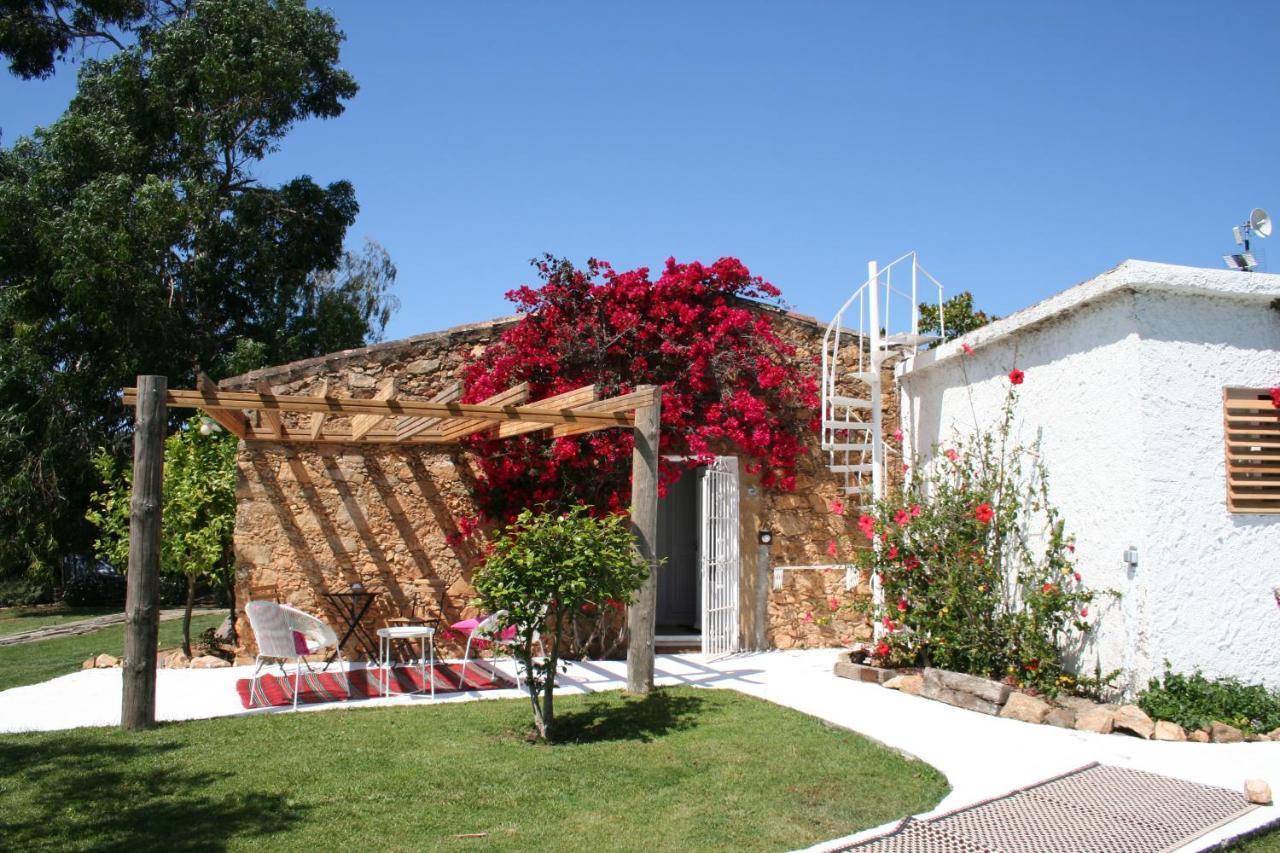 Bed and Breakfast Le Rondini Montrás Exteriér fotografie