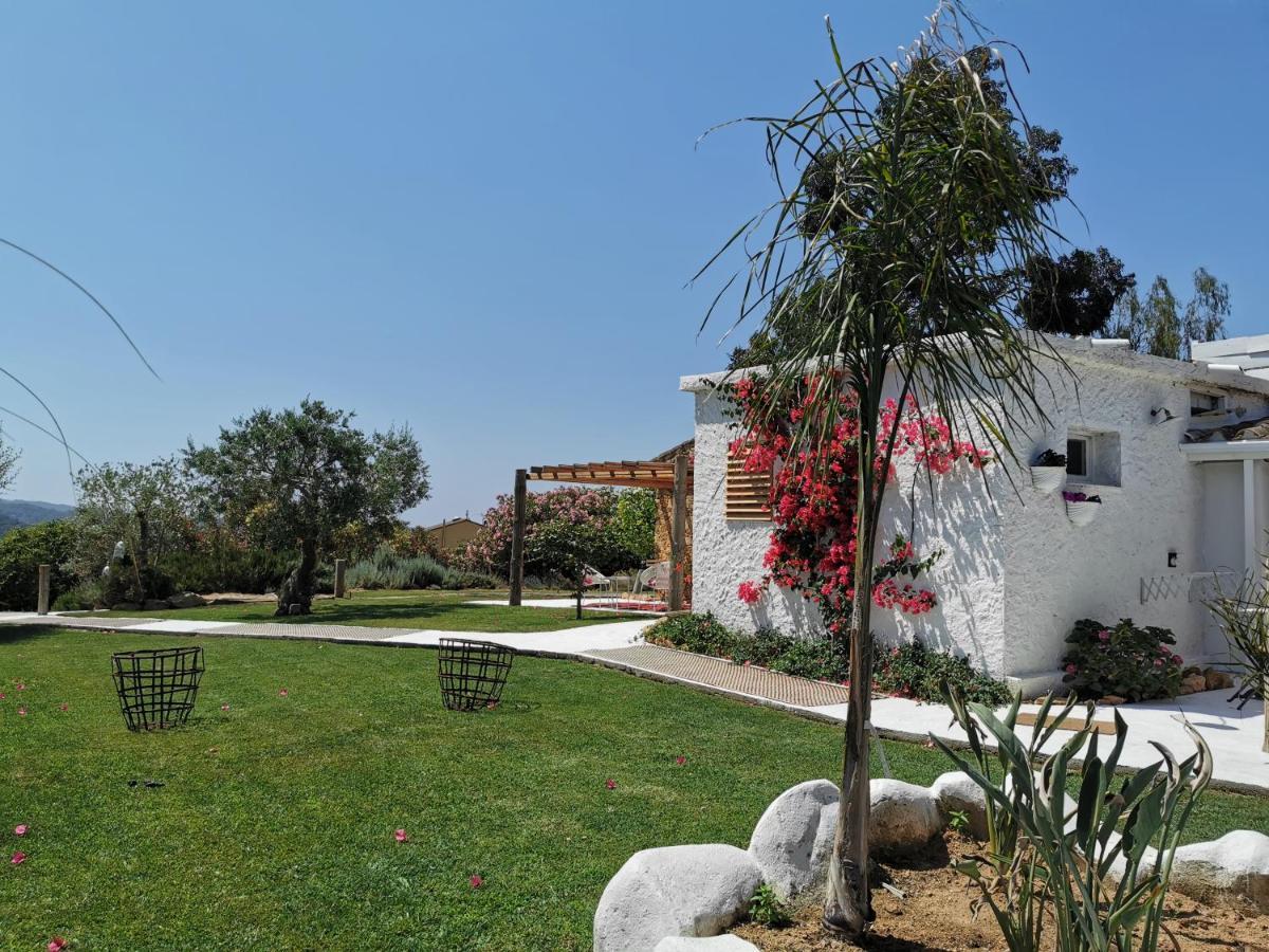 Bed and Breakfast Le Rondini Montrás Exteriér fotografie